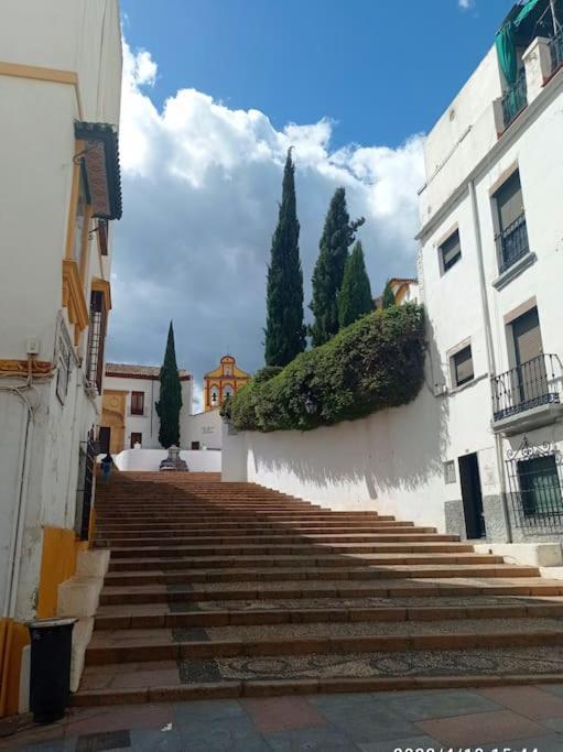 Precioso Loft En El Centro De Cordoba. Apartment Екстериор снимка