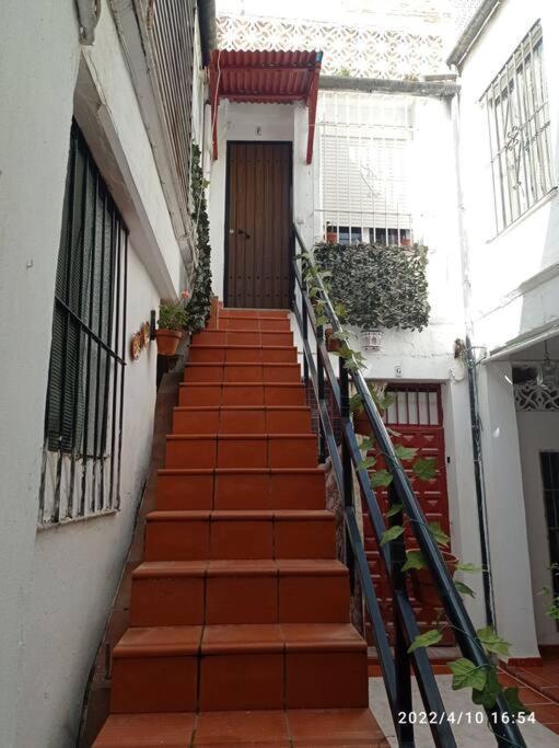 Precioso Loft En El Centro De Cordoba. Apartment Екстериор снимка
